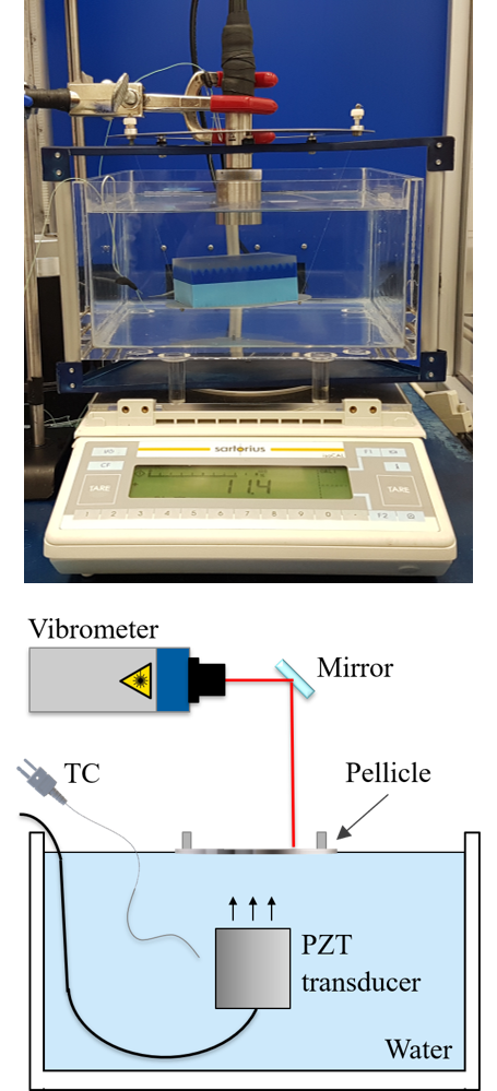 Image of radiation force balance used to measure acoustic power.